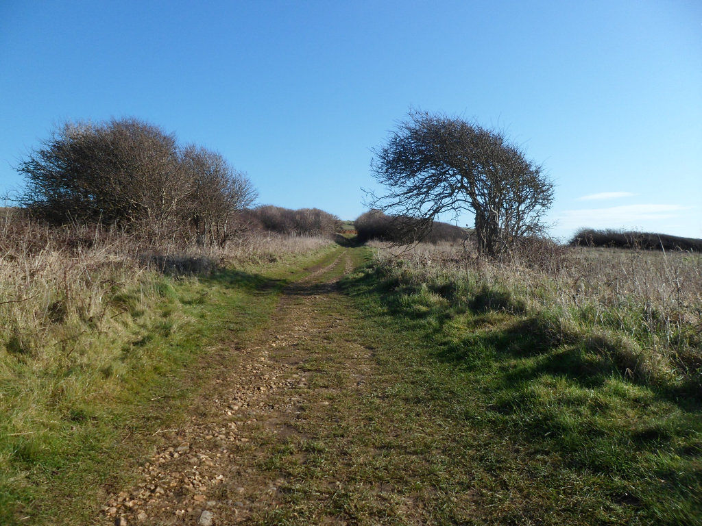 Culver Down cliff walk on the beautiful Isle of Wight